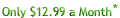 14.95 per month