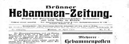 Brunner Hebammen Zeitung