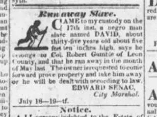 other Newspaper clipping from Jul 18, 1835 4973279