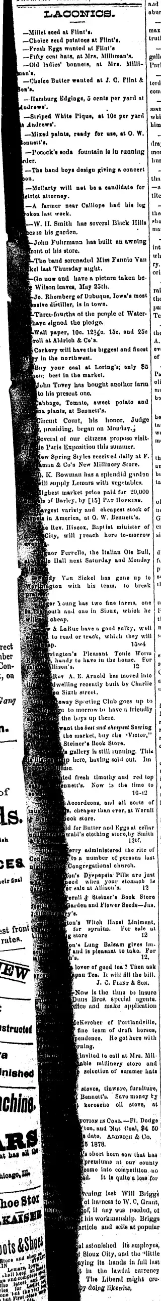 other Newspaper clipping from May 9, 1878 5638906