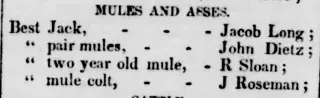 other Newspaper clipping from Sep 27, 1854 5645859