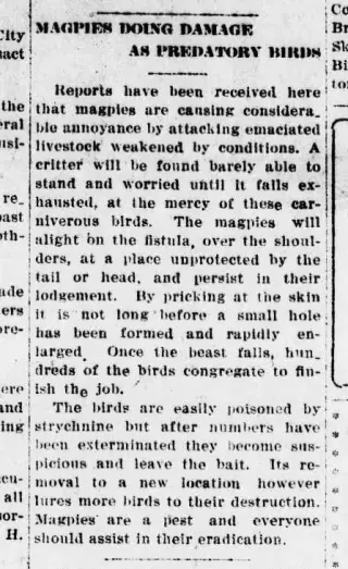 other Newspaper clipping from Apr 9, 1920 5648245