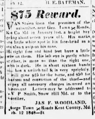 other Newspaper clipping from Feb 12, 1847 5648951