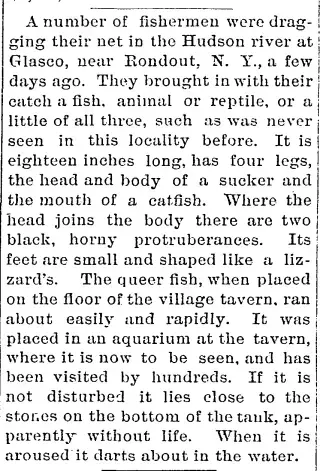 other Newspaper clipping from Dec 24, 1885 5651208