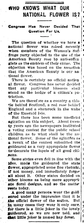 other Newspaper clipping from Nov 17, 1913 5653217