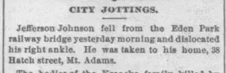other Newspaper clipping from Jul 5, 1883 5654686