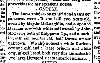 other Newspaper clipping from Oct 9, 1867 5657229