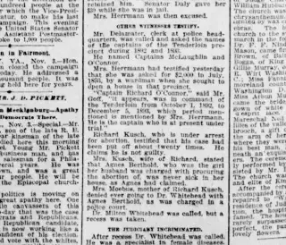 other Newspaper clipping from Nov 4, 1894 5659678