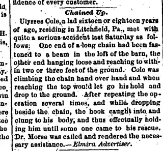 other Newspaper clipping from Aug 11, 1881 5666016