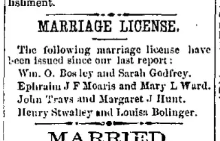 other Newspaper clipping from Apr 8, 1875 5669004