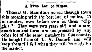 other Newspaper clipping from Sep 10, 1852 5669995