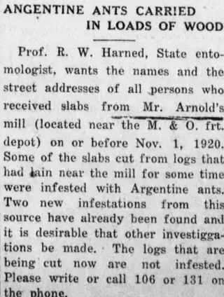 other Newspaper clipping from Nov 26, 1920 5676144