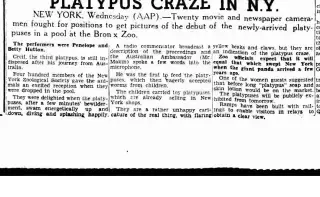 other Newspaper clipping from May 1, 1947 5676773