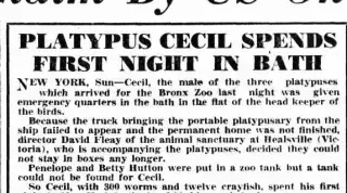 other Newspaper clipping from Apr 28, 1947 5676985