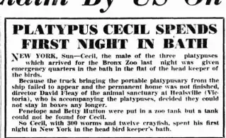other Newspaper clipping from Apr 28, 1947 5676988