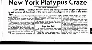 other Newspaper clipping from Apr 30, 1947 5676992