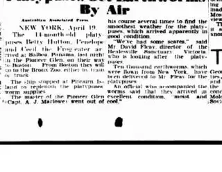 other Newspaper clipping from Apr 21, 1947 5677048
