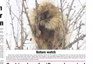 other Newspaper clipping from Feb 25, 2011 5681854