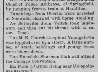 other Newspaper clipping from Apr 10, 1888 5682655