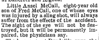 other Newspaper clipping from Dec 28, 1898 5686947