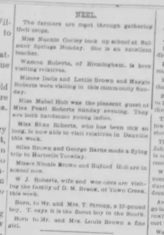 other Newspaper clipping from Nov 16, 1900 5689634