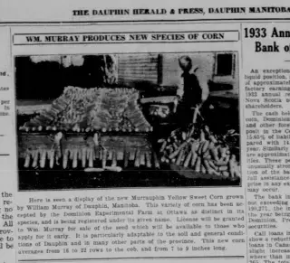 other Newspaper clipping from Feb 1, 1934 5689696
