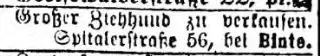 other Newspaper clipping from Mar 20, 1904 5690814