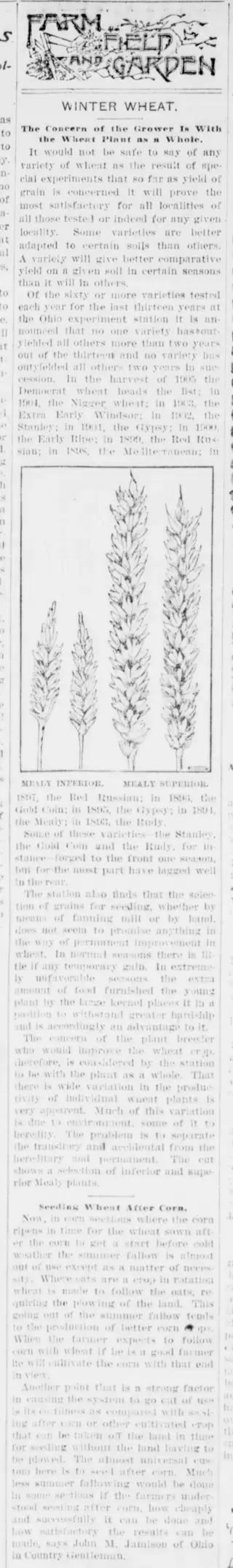 other Newspaper clipping from Oct 5, 1905 5693375