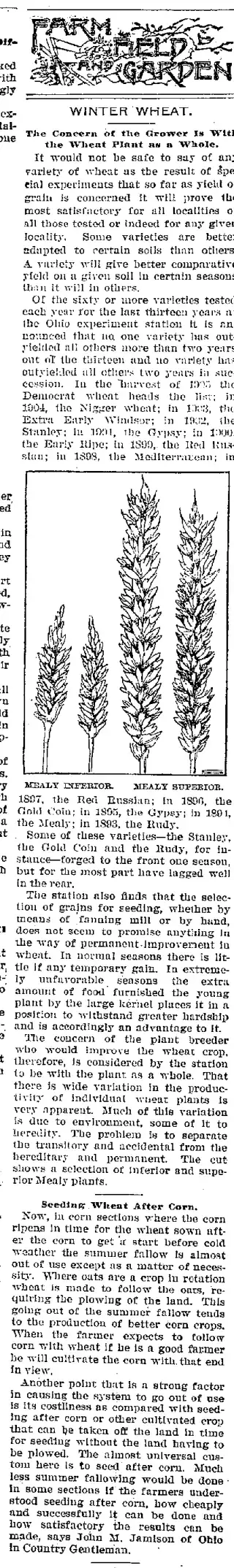 other Newspaper clipping from Oct 13, 1905 5693378