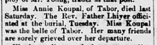 other Newspaper clipping from Sep 10, 1877 5694649