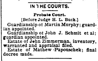 other Newspaper clipping from Dec 12, 1894 5695397