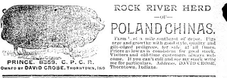 other Newspaper clipping from Nov 7, 1896 5697999