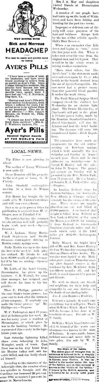 other Newspaper clipping from Jul 27, 1895 5699249