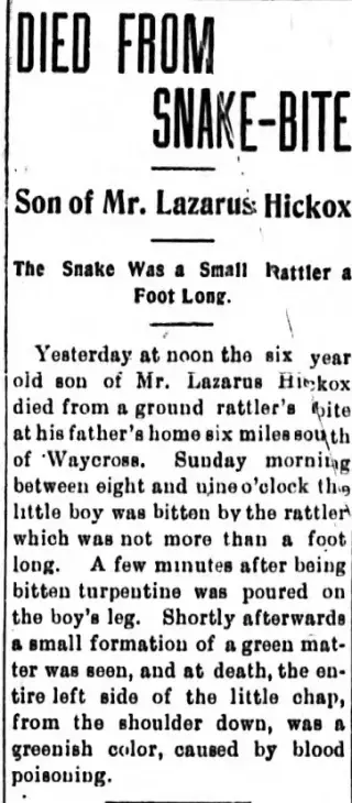 other Newspaper clipping from Jun 14, 1904 5700604