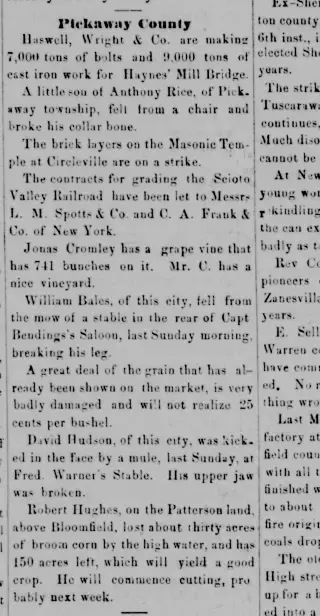 General news Newspaper clipping from Aug 26, 1875 5700974