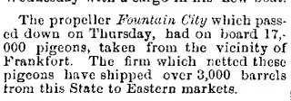 other Newspaper clipping from Jun 18, 1874 5701374