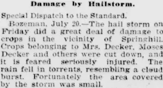 other Newspaper clipping from Jul 21, 1902 5703306