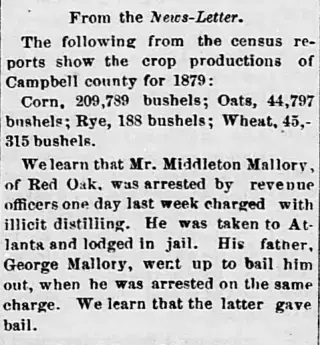 Crime Newspaper clipping from Nov 3, 1881 5707577