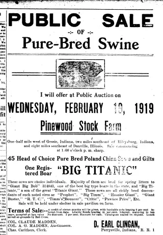 other Newspaper clipping from Feb 12, 1919 5708746