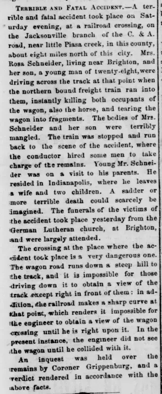 Birth Newspaper clipping from Aug 15, 1873 5713507
