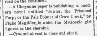 other Newspaper clipping from Jun 16, 1877 5713887