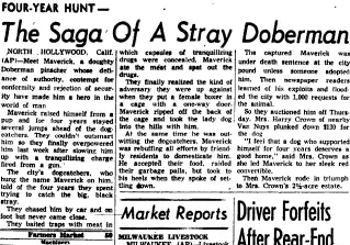 other Newspaper clipping from Oct 10, 1958 5714798