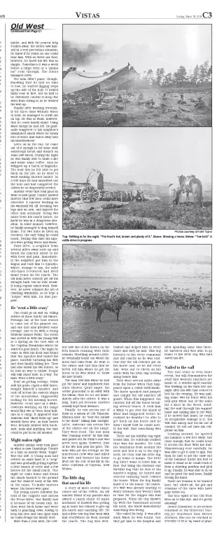other Newspaper clipping from Mar 18, 2018 5715410