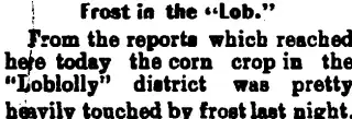 other Newspaper clipping from Jul 31, 1899 5716142