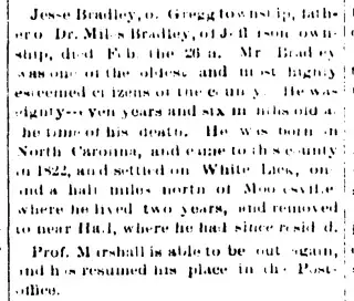 other Newspaper clipping from Mar 4, 1875 5717125