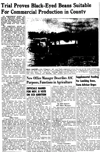 other Newspaper clipping from Oct 27, 1955 5718404