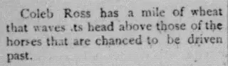 other Newspaper clipping from Sep 3, 1903 5720936