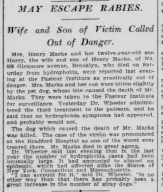 other Newspaper clipping from Jul 3, 1906 5721854