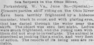 other Newspaper clipping from Jul 1, 1893 5722823