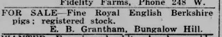 other Newspaper clipping from Mar 15, 1917 5723938